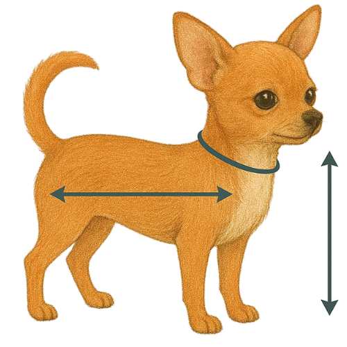 Dog size